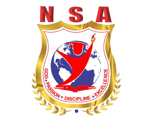 Blason New System Academy